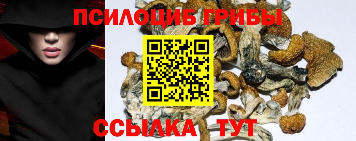 Кушва  Галлюциногенные грибы GOLDEN TEACHER  Галлюциногенные грибы Magic Shrooms  Вход с VPN 
