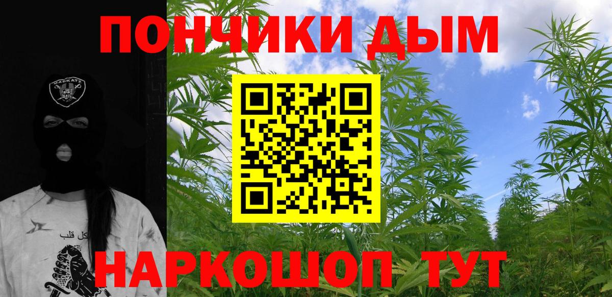 Шишки марихуана марихуана Кушва